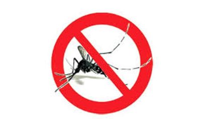 Ordinanza per la prevenzione ed il controllo delle malattie trasmesse da insetti  vettori